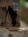 Rusty iron macro detail. Royalty Free Stock Photo