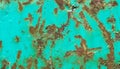 Rusty iron metal surface with turquois paint. Texture and background