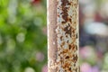 Rusty iron pole as part of a metal fence Royalty Free Stock Photo
