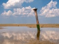 Rusty iron pole in puddle on mudflat at low tide near Kwade Hoek, Slijkgat inlet, Zuid-Holland, Netherlands