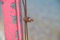 The rusty iron pulley with blue sky background . Royalty Free Stock Photo