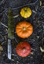 Rusty knife and pumpkins