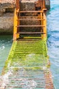 A rusty ladder in the water Royalty Free Stock Photo