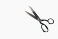 Rusty large dressmaking or tailoring scissors, Royalty Free Stock Photo