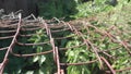 Rusty lattice - wooden and metal fence