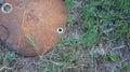 Rusty lid from a barrel on the grass