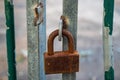 Rusty lock on the gate of a small gray container close-up. Royalty Free Stock Photo