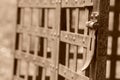 Rusty Lock Hasp On A Jail - Sepia