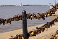 Rusty Locks attached to a fence at Liverpool Pier Head - LIVERPOOL, UK - AUGUST 16, 2022