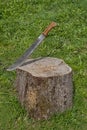 Rusty machete stuck in stump Royalty Free Stock Photo