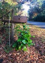 Rusty Mailbox