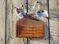 Rusty mailbox