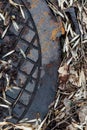 Rusty manhole, autumn leaves, dirt, closeup
