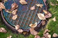 Rusty manhole cover on the grass.