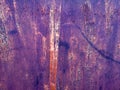 Rusty metal background with rough texture Royalty Free Stock Photo