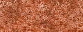 Rusty metal background Royalty Free Stock Photo