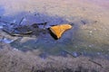 Rusty metal barrel partially protruding from the boggy ground with the remnants of petroleum products Royalty Free Stock Photo