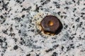 Rusty metal bolt in granite