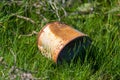 Rusty metal can on the grass in the field Royalty Free Stock Photo