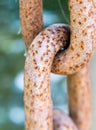 Rusty metal chain links closeup Royalty Free Stock Photo