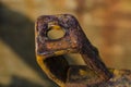 Rusty metal clasp Royalty Free Stock Photo