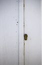 Rusty metal door Royalty Free Stock Photo