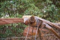 A rusty metal dragonfly sculpture surrounded by lush green trees and plants at Atlanta Botanical Gardens in Gainesville Georgia