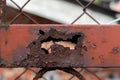 Rusty metal fencing partially destroyed by corrosion