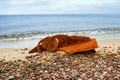 A rusty metal fragment of a ship's side thrown onto the seashore Royalty Free Stock Photo