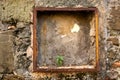 Rusty metal frame and reccess on an external wall with small green weed Royalty Free Stock Photo