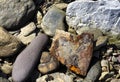 A rusty metal heart shaped piece of beach detritus