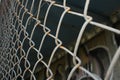 Rusty metal mesh close-up on the background of painted walls Royalty Free Stock Photo