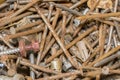 Rusty metal nails,Abstract metall background Rusty iron