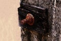 Rusty metal nut Royalty Free Stock Photo