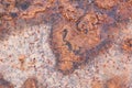 Rusty metal old surface wall. Royalty Free Stock Photo