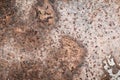 Rusty metal old surface wall. Royalty Free Stock Photo