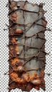 Rusty metal plate with tangled barbed wire design, AI-generated Royalty Free Stock Photo