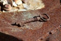 Rusty metal rustic old key