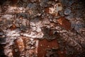 Rusty metal surface. Old decrepit paint on a metal wall. Beautiful grunge background Royalty Free Stock Photo