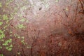 Rusty metal texture background. old iron plate texture. steel wall. workbench surface with scratches Royalty Free Stock Photo