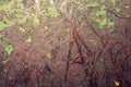 Rusty metal texture background. old iron plate texture. steel wall. workbench surface with scratches Royalty Free Stock Photo