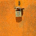 Rusty metal texture and padlock Royalty Free Stock Photo