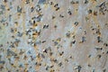 Rusty metal wall with cracked paint, background texture Royalty Free Stock Photo