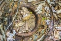 Rusty Metal Wheel Royalty Free Stock Photo