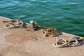 Rusty Mooring Bollard with Ropes in the Port - La Spezia Italy Royalty Free Stock Photo