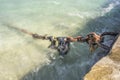 Rusty mooring chain Mykonos harbor
