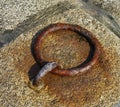 The rusty mooring ring tied with pier stone Royalty Free Stock Photo