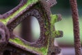 Rusty, mossy and aged iron Gear from a piece of vintage farm equipment at near macro distance Royalty Free Stock Photo