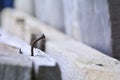 Rusty nail. Curve of a rusty nail sticking out of the board Royalty Free Stock Photo