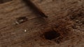 Rusty Nail Hole in Wooden Board. Royalty Free Stock Photo